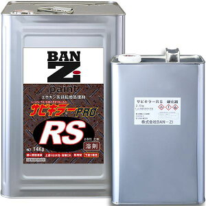 BAN-ZI 4562375770453 TrL[vRS 16DkgZbgNACG[
