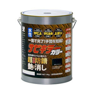 BAN-ZI 4562375772471 hKh TrL[J[ 4kg 