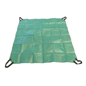 G 4952209002971 }tV[g 150x150cmyLZsz