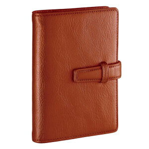 y11/10IIōő100|CgobNzCC DPM3037C _B` VXe蒠 X^_[h mini5 11mm uE