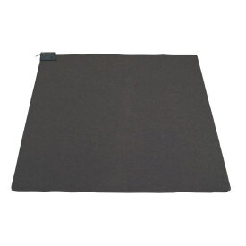 【即納在庫品】テクノス TEKNOS TWA-2002B 2畳用カーペット本体