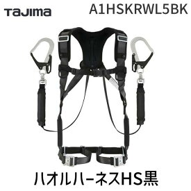 【即納在庫品】TJMデザイン タジマ A1HSKRWL5BK ハオルハーネスHS黒KR150FAシングルL5W