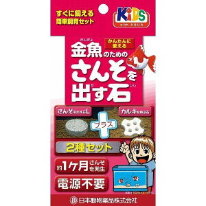 j`hE 4975677038211 ̂߂̎_fo