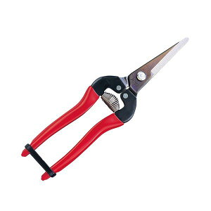 (LINE�N�[�|���L)�y�N�x�������|�C���g���i�z�A���X �m300L�n �E����L 300L 249-3802 �E���������O�^�C�v �A���X�R�[�|���[�V����