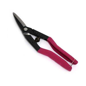 4977292182669 yJbg E^Cv 4977292182669 Y yJbgE^Cv \͂ ؃nT~ ƍH