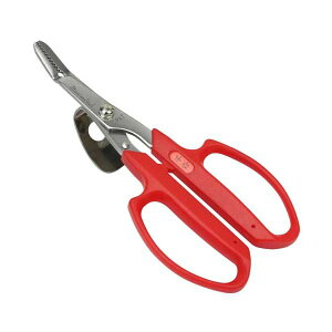 4977292620413 18 eRt 4977292620413 g  Y SENKICHI eRt |pi eRt |  G 抙  _