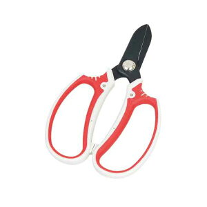 4977292624787 fB[X 4977292624787 g Y fB[XԃnT~ SENKICHI ԃnT~ |pi