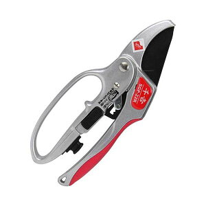 4977292628037 `Fbg 4977292628037 g Y ΂ |nT~ K[fjO }؂oT~