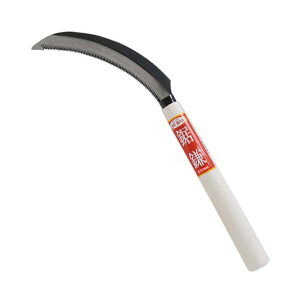 4977292799416  4977292799416 E-Value Y J} | _Ɨpi 芙 芙 |pi   ނ  | ƒ؉  K[fjO K[f   