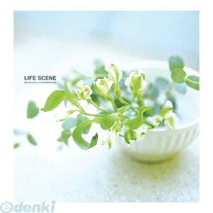 iJoV 33829 tGAoDigio CtV[ u[ LPF|1001|B 33829 LTCY rX Nakabayashi