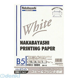 iJoV 66006 Rs[v^p zCg^Cv B5F100 W|13