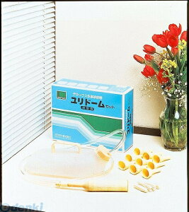 4970520261013 IJg h[Zbg A jprA pi