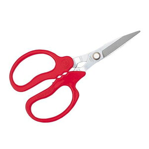 L{V 4951167623150 L\ ̓^Cv 2315 GS  S[fX^[ K[fjO |  H _ _ L\̓^Cv ͂݁yLZsz