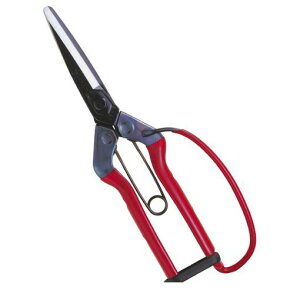 ߐ 4967645031706  ےn K[ht T|700G ܓyLZsz