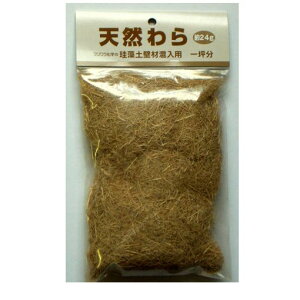 tWw 4943068413060 ]yǍޗpVR 24g