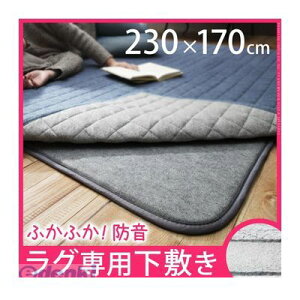yF1z 33100111  sE[J[s hӂӂ~pO kӂs^l 230x170cm y3pz