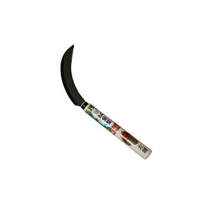 L{V 4951167114092  140409   p ǋ GS S[fX^[ |  G 抙  |pi _ƁyLZsz