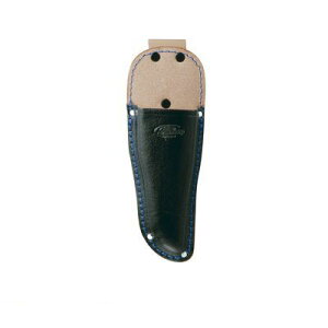 vX^[ PROSTAR BLG-01 P[X BLG01