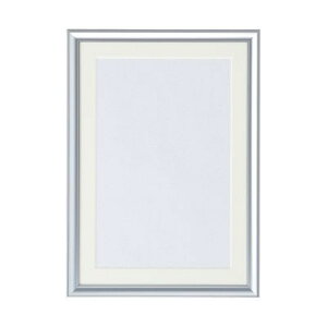 NE CR-GA116A-AL A~ʐ^zy1z CRGA116AAL