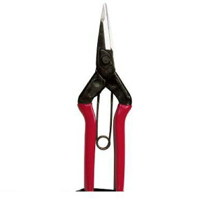 (LINE�N�[�|���L)���� ����s�E�����[�J�[�����s�� �ߐ� T601K ��^�E�����y�L�����Z���s�z