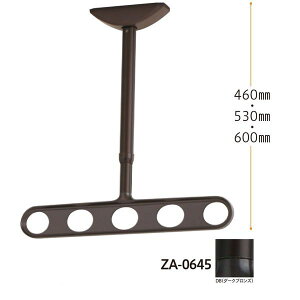 Z ZA-0645-DB zXN[ Vp A[dl _[NuY 2{ ZA0645DB