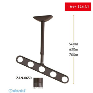 川口技研 ZAN-0650-DB ホスクリーン 軒天用 斜めアーム仕様 ダークブロンズ 2本入 ZAN0650DB