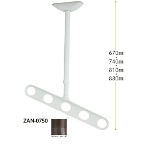 川口技研 ZAN-0750-DB ホスクリーン 軒天用 斜めアーム仕様 ダークブロンズ 2本入 ZAN0750DB