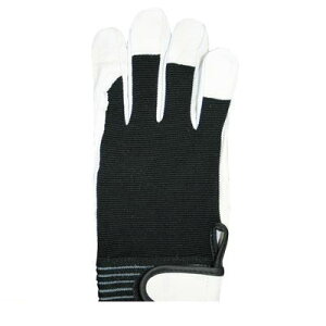 y11/25IIōő100|CgobNzj[h 4518406113560 ؃NXg w}WbN 3og M 1356 v ؊vNXgw}WbNv WORLD