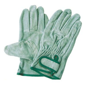 y11/25IIōő100|CgobNzj[h 4518406116103 v IC}WbN 10og 116 Ǝ v ICv v }WbNt t[TCY v