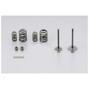 VtgAbv SHIFT UP 205588-VC-10 L88CC HRwbhouRb^|Zbg4PCS 205588VC10 L[ SHIFTUP ėp nC{[Vwbhp