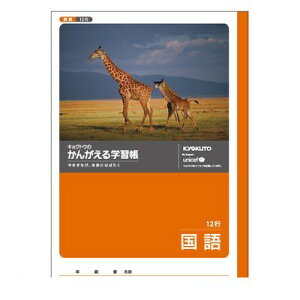 LNgEEA\VGCc L10 񂪂wK 12sy1z