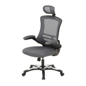 【個数:1個】不二貿易 4953980851802 直送 代引不可・他メーカー同梱不可 アームアップチェアー マスターIII GY