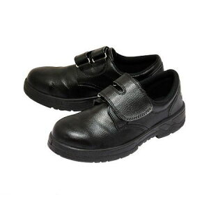 (LINEN[|L)G[ 4941706021721 ZCy}WbNz A350 25D5cm 1