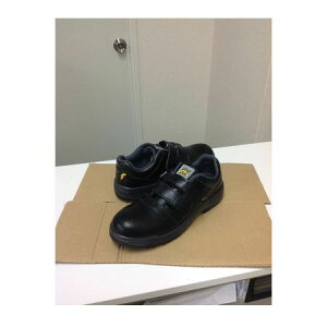 GDJAPAN �W�[�f�[�W���p�� 4560153012528 W1200 �Ód�@�\�t�� ���S�C �� �}�W�b�N 23�D5