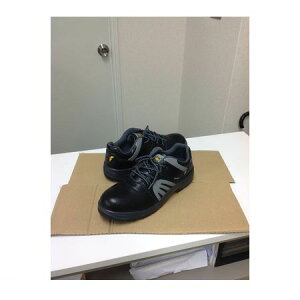 (LINE�N�[�|���L)GDJAPAN �W�[�f�[�W���p�� 4560153016472 W1010 �Ód�@�\�t�� ���S�C ���E�O���[ �R 26�D5