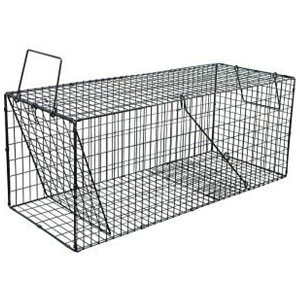 Rp 4935682030648 X[p[ߊlyLLzubN X[p[ߊlubN ߊlX[p[ߊlubN ACO}ߊl ^CX k[gA C^` ݔdl