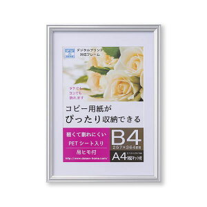  T009-30704 OAz vx Vo[ OPPܓ B4 T00930704