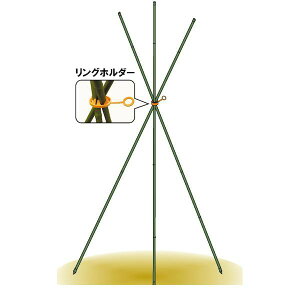 rj[ 4968438005805 Orx 7X9CM