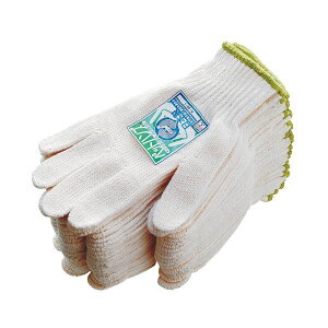 4970687701209 ӂ ybgnYƎ 12o aR |GXe jH H ʍ t[  |