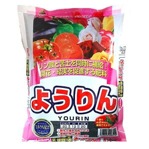 TAhz[v 4543693008510 悤1kg