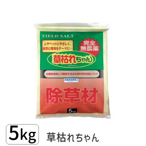 y[݌ɕiz4936980520695 ͂ꂿ 5kg S_򏜑 _knp  ޑ͂ꂿ5kg {  lƃybgɗD ̂| ꂿ G΍  U