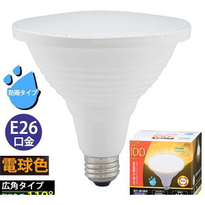 �I�[���d�@ LDR11L-W/P100 LED�d�� �r�[�������v�` �L�p 100�`�����^1050lm�^�d���F�^E26�^�h�J�^�C�v LDR11L�|W�^P100 LDR11LWP100