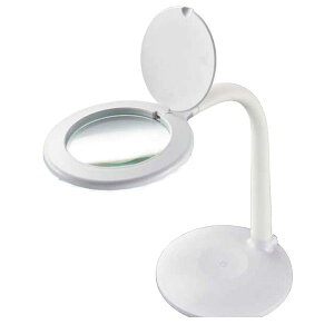 I[d@ 08-0787 [ytLEDX^hCg Y100mm^zCg DS|L24ZS|W 080787