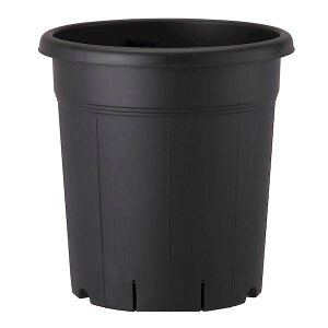 AbvEFA[ 4905980310261 ʎ245^BK