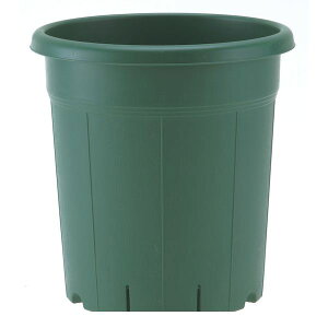 AbvEFA[ 4905980310377 o10GR