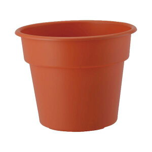 AbvEFA[ 4905980393134 AP|bg10eRb^ vX`bN v Aؔ F