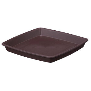 y11/25IIōő100|CgobNzAbvEFA[ 4905980432383 NtgXNGAv[g 30^DBR _[NuE M vX`bNM 󂯎M