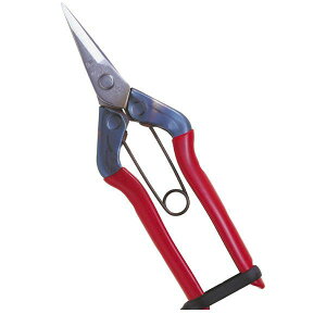 (LINE�N�[�|���L)���� ����s�E�����[�J�[�����s�� �ߐ� T-500S �X�e���E���� �뒼�n BP T500S