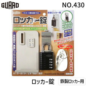 K[hbN NO.430 bJ[ bJ[p ⏕ t Hsv Ïؔԍ xłύX\ 싞