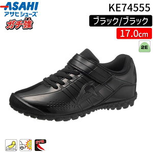 ATqV[Y ASAHI 4963507387318 KE74555 K` ATq J004 ubN^ubN 17.0cm